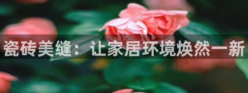必一体育官方下载