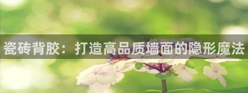 Bsport体育必一