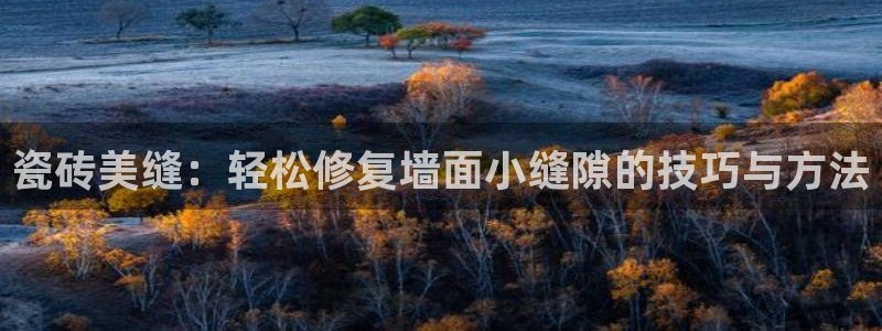 必一体育流水线是什么意思