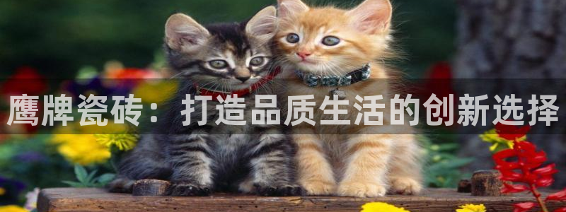 必一体育APP下载安装