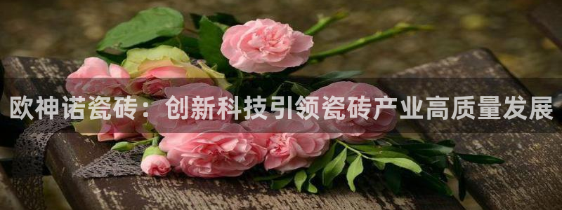 必一体育运动app
