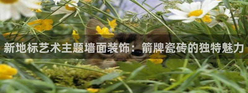 必一体育sport网页版