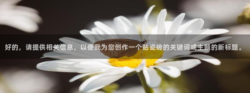 必一体育网页登录版官网