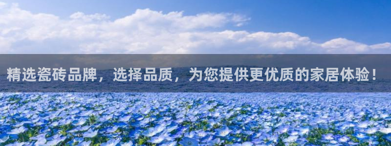 必一体育最新官网入口首页