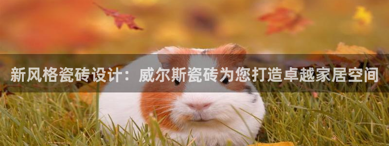 必一体育运动app