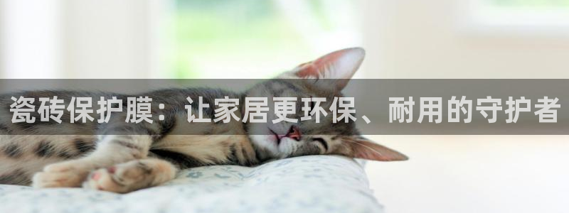 必一体育在线登录