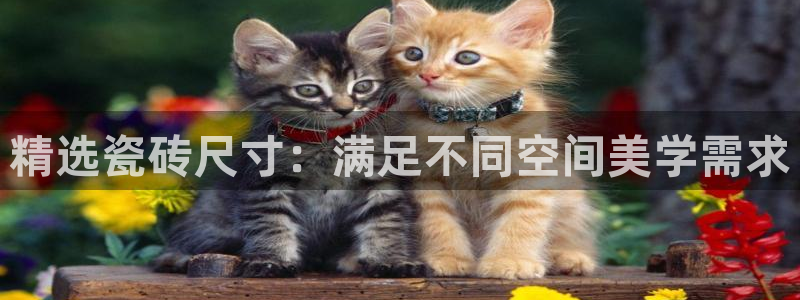 必一运动·体育