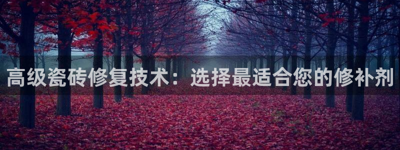 必一体育可靠吗