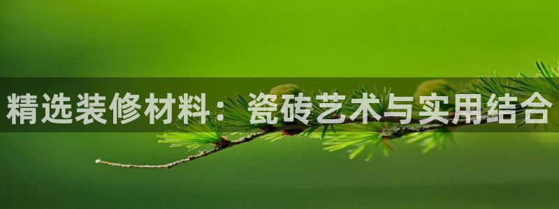 必一体育官方网站入口