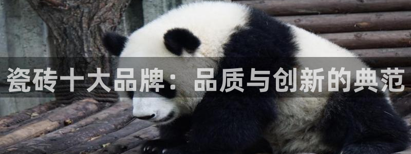 必一运动官网装机吧