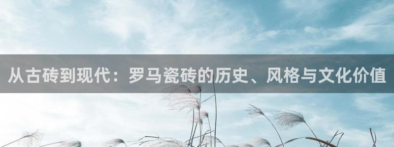 必一体育网页登录版官网