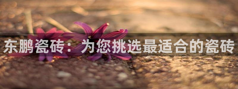 必一运动tieba.baidu.com