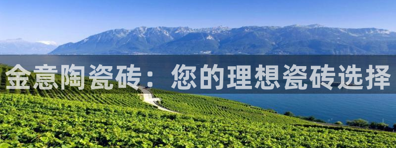 必一体育验证码