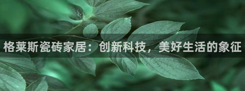 必一体育网页登录版官网