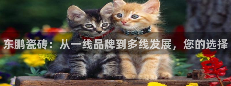 必一体育登录入口