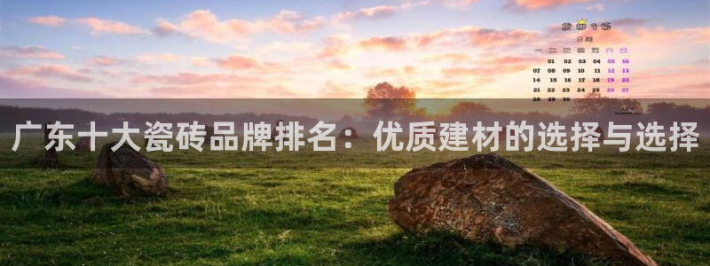 必十二和必一的副作用