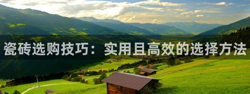 必一体育官方入口