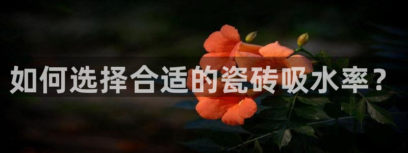 必一体育app官方网站