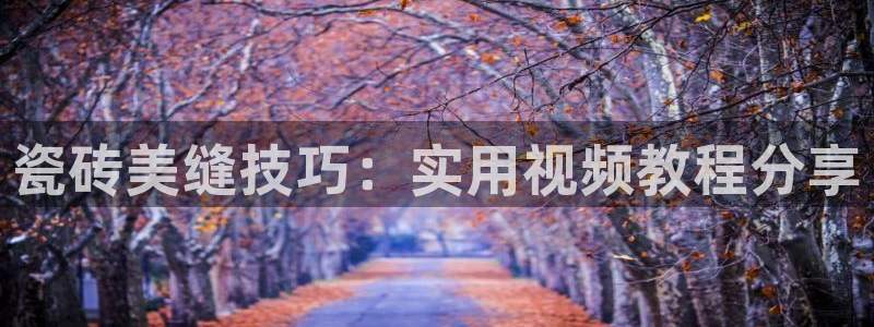 必一体育秀给网