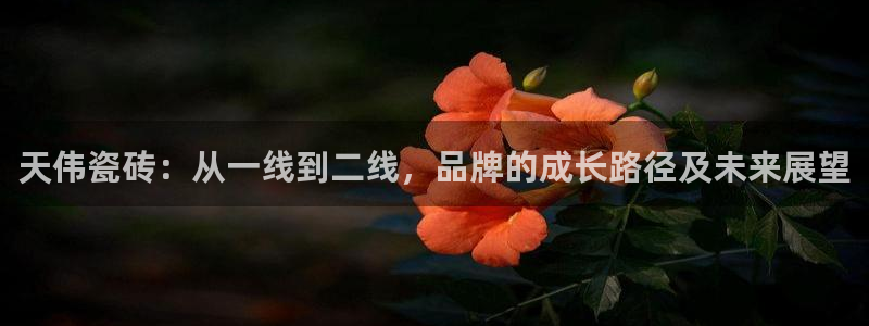 必一体育app下载