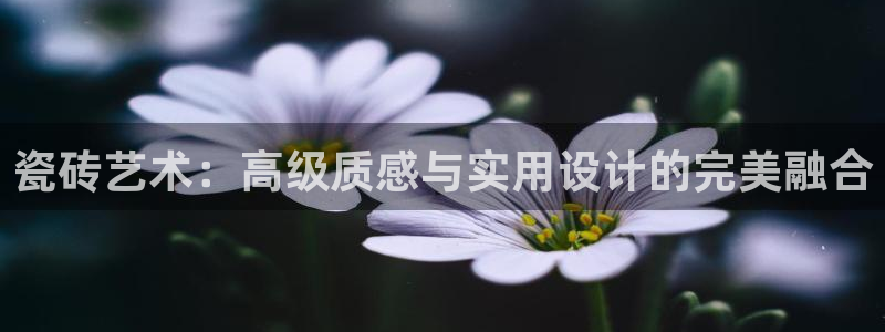 必一运动bsport体育app下载