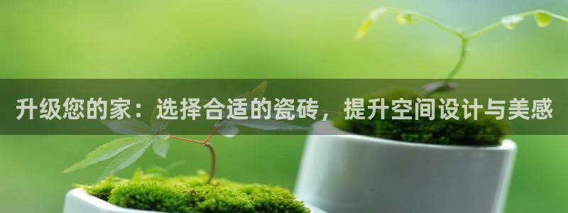 必一运动sport爱查股