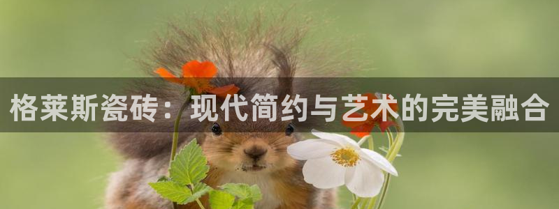 必一运动tieba.baidu.com