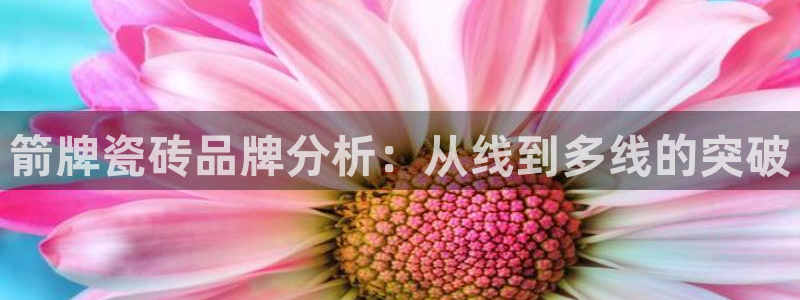 必一体育app官方