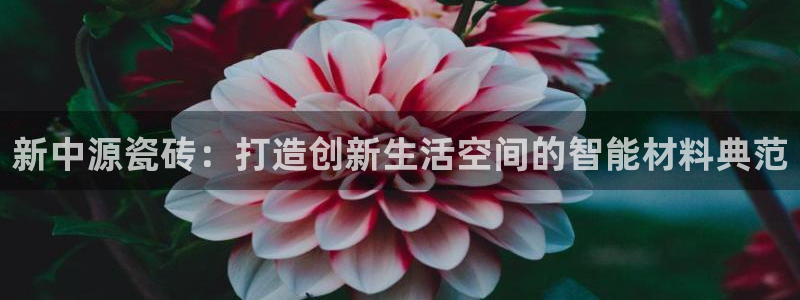 必一运动aop