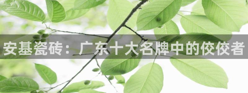 必一体育APP