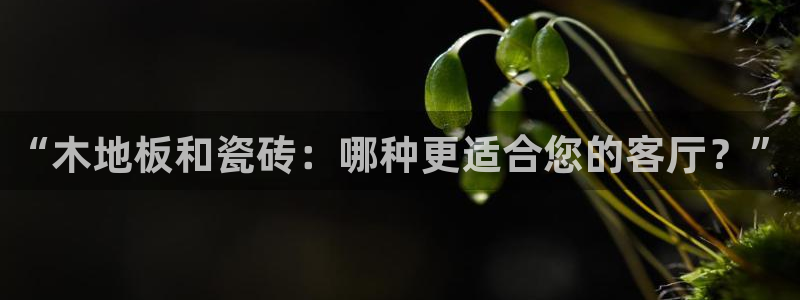 必一运动官网登录入口