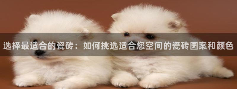 必一运动官网入口