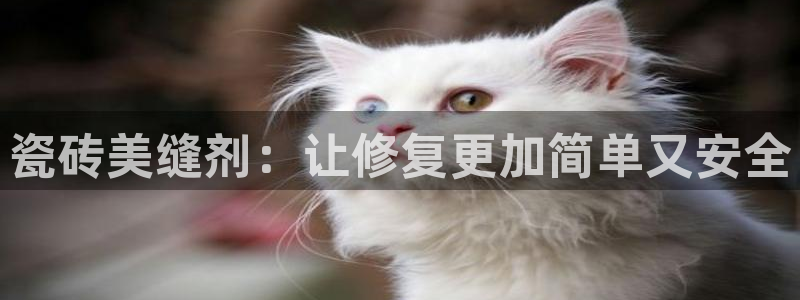 必一体育在线官网
