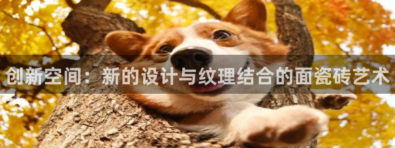 必一体育登入