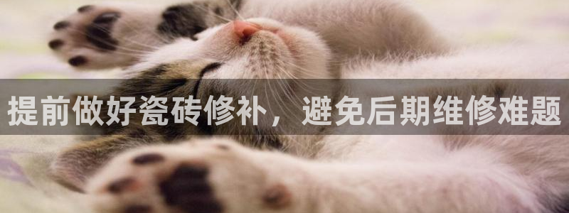 必一体育黑平台