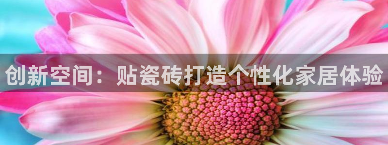 必一运动体育官网