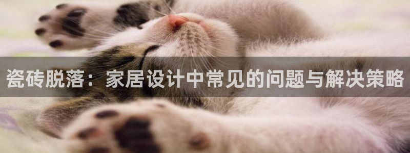 氵必一一厂一