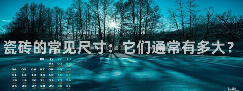 必一运动·(B-Sports)
