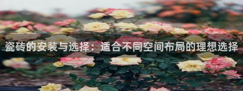 必一体育皮尔斯