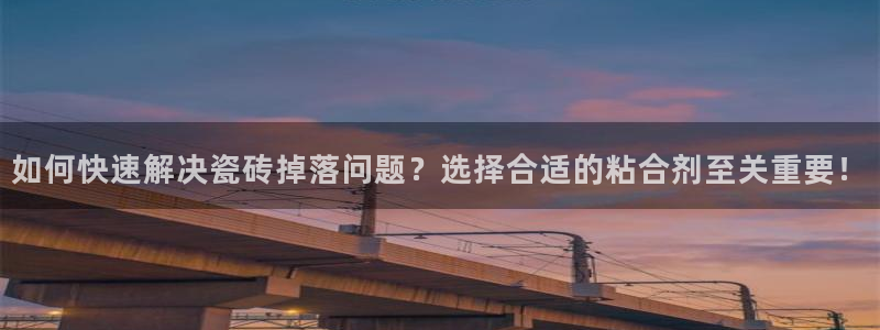 必一体育登录