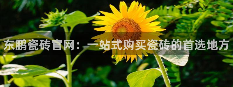 必一体育下载登入