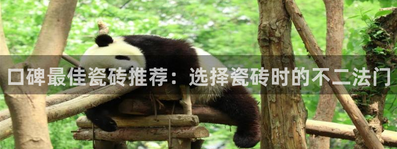 必一体育登陆