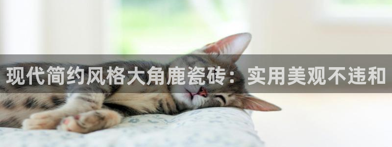 必一体育旧版