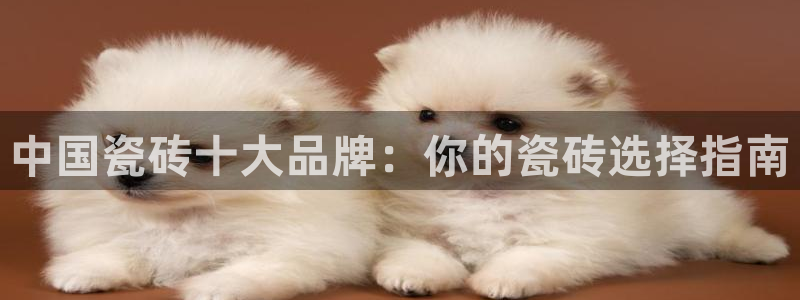 必一运动sport爱查股