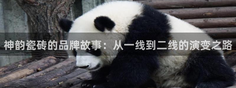 必一体育在线下载