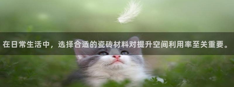 必一运动·(B-Sports)土豆