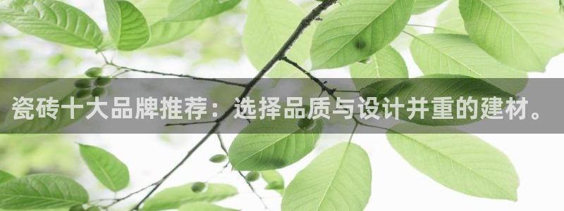 氵必一一厂一